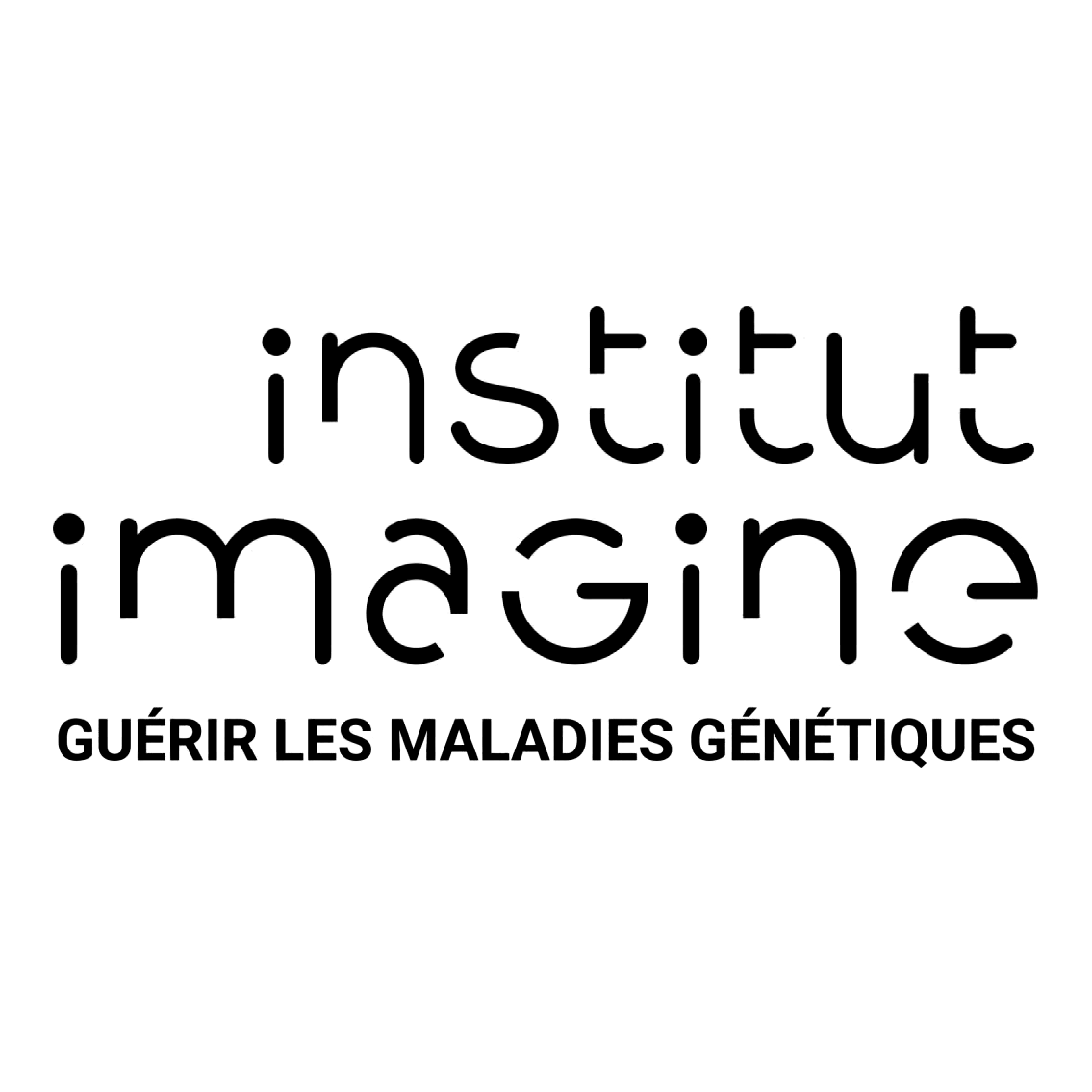 logo_institut-imagine